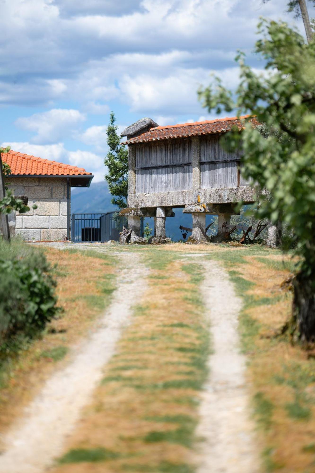 Quinta De Calvelos Vieira do Minho Exterior foto